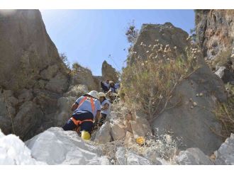 6 Gün Boyunca Aç Susuz Kalan Oğlaklar Kurtarıldı