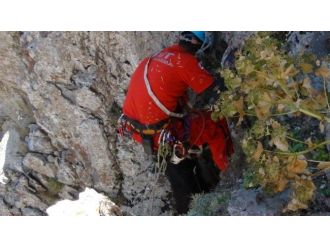 Akut, Dağda Mahsur Kalan Altı Keçiyi Kurtardı