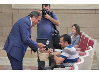 Chp’li Torun: Mutlaka Fındık Kanunu Çıkartılmalı