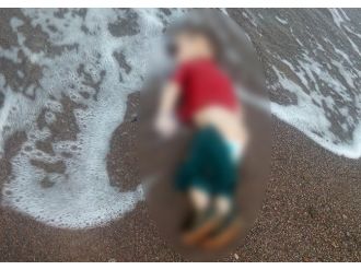 Aylan’ın Halası: Bütün Dünya Suçlu
