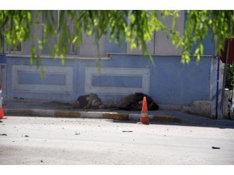 Pkk’lı Terörist Böyle Öldürüldü