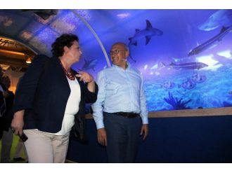 Chp’li Çakırözer: “Hayalimizde Eskişehir Gibi Bir Türkiye Var”