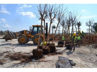 Expo Antalya Alanına Türkiye Ormanı Kurulacak