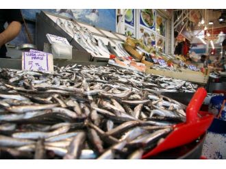 Pazarda Hamsi Bereketi