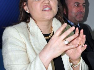 Bakan Şahinden Şevkat-dere Tepki