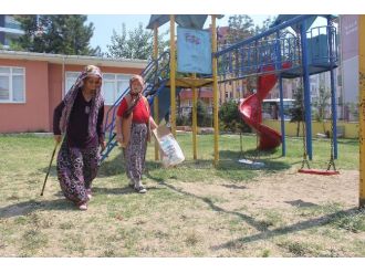 80’lik Nineler Ellerinde Bastonlarıyla Çöp Topluyor