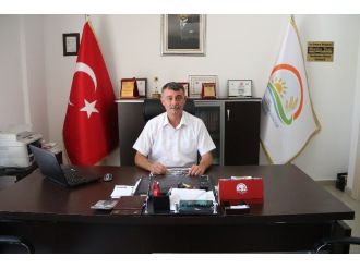 Mut Zeytini Dalında Satıldı