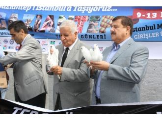 Şehitler İçin Barış Güvercini Uçurup, Baklava Dağıttılar