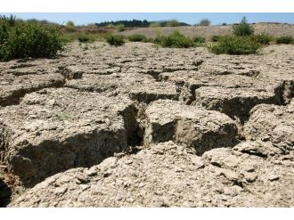 Bir Çift Ayakkabı Üretimi İçin Sekiz Bin Litre Su Harcanıyor