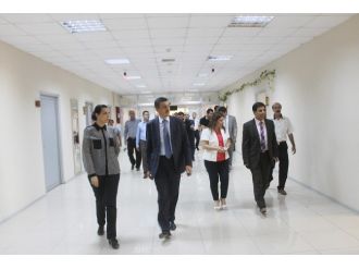 Sağlık Bakanlığı Müsteşar Yardımcısı Mardin’de