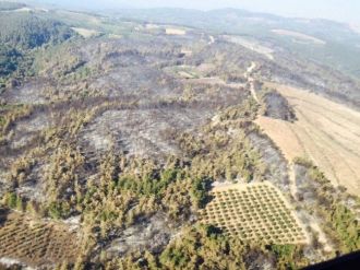 Bursa’da Yanan Alan Açıklanandan 4 Kat Fazla Çıktı
