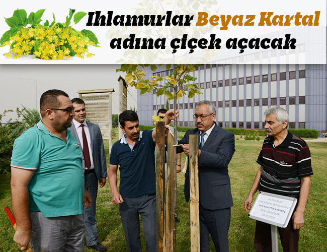 Ihlamurlar Beyaz Kartal Adına Çiçek Açacak