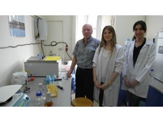 “Bursa’da Yemeklik Ve Yağlık Zeytini Ayırt Edecek Genetik Uzmanı Yok”