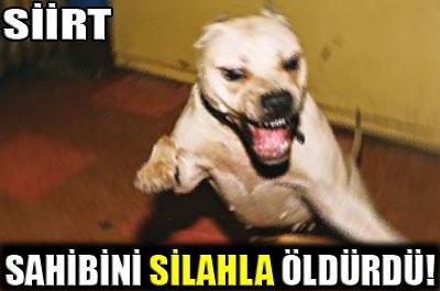 Katil köpek tetiğe bastı 