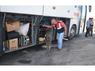 Üç Kilo Kubar Esrar Vicdan’a Takıldı