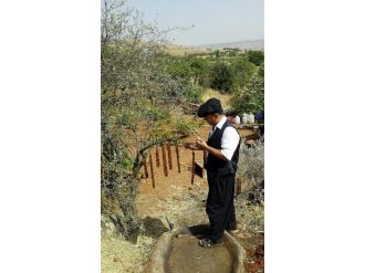 Organik Üzüm Sucukları Yapıldı