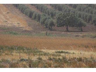Sınırın Suriye Tarafında Şiddetli Çatışmalar