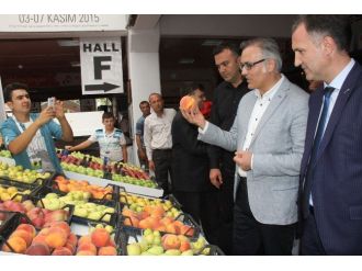 İnegöl Tarım Fuarı Kapılarını Açtı