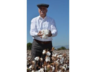 Pamuğu Gümrüklerle Koruyamıyoruz