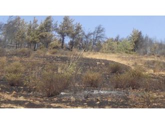 Hatay’da Orman Yangını Söndürüldü