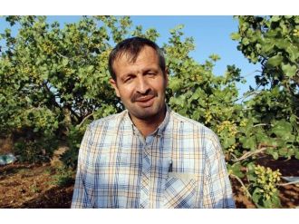 Terör Olayları Siirt’ten Çin’e Fıstık İhracatını Etkiledi