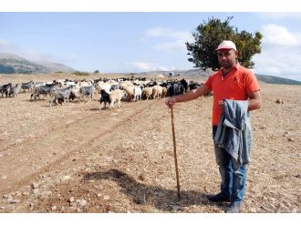 Başlık Parasıyla Dolandırılan Çobanı Polis Kurtardı
