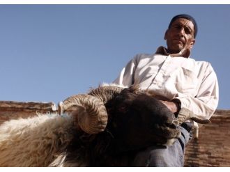 (Özel Haber) Küpeli Kurbanlıklarda Kaçak Uyarısı