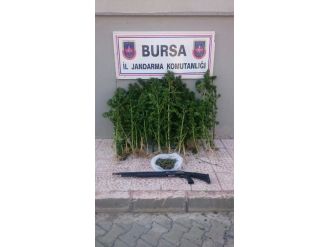 Bursa’da Uyuşturucu Operasyonu