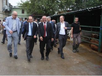 Bursa’da Kaçan Boğaları Yakalama Timi Kuruldu