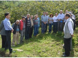 Fındığı Sertifikalı Üreticiler Budayacak