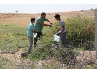 (Özel Haber) Mayından Çıkan Derman