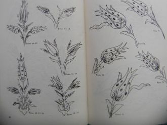 Ters Lalenin Sırrı Çözüldü