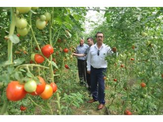 İnegöl’ün Geleceği Meyvecilik