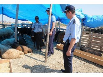 Yenişehir Belediyesi Kurban Satış Ve Kesim Yerlerini Hazırladı