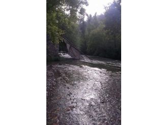 Tahta Köprü Sürü Geçerken Çöktü