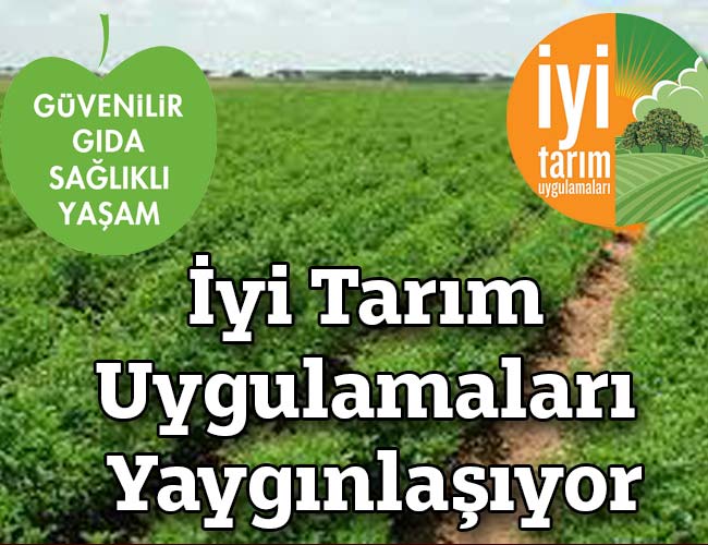 İyi Tarım Uygulamaları Yaygınlaşıyor