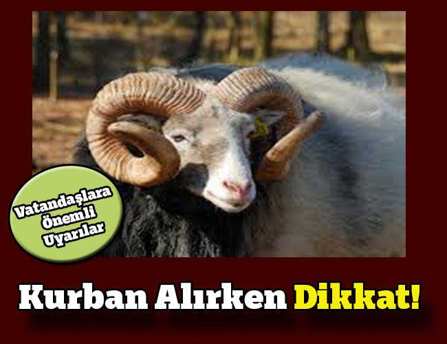 Kurban Alırken Dikkat!