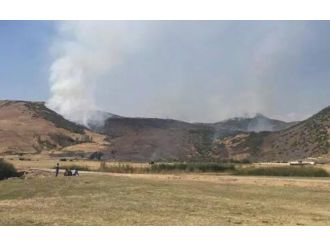 Biri sözde bölge sorumlusu 2 terörist ele geçirildi