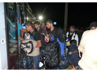 Suriyeliler er meydanına götürülüyor