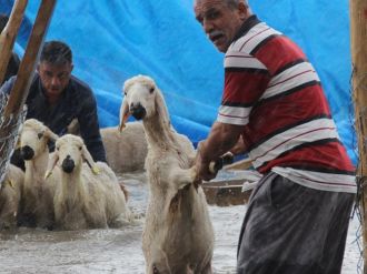 Su baskınından böyle kurtarıldılar