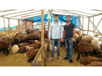 Her şey başlık parasını toplamak için