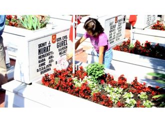 Hiç görmediği şehit babası için resim çizdi