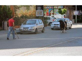 Boğa 4 kişiyi hastanelik etti