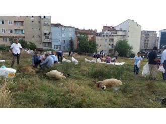 Yasağa rağmen manzara değişmedi