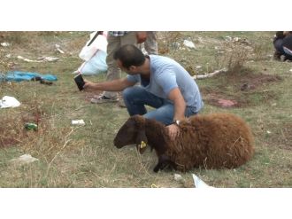 İstanbul’dan kurban manzaraları