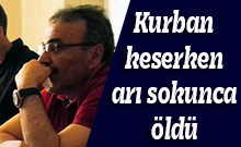 Kurban keserken arı sokunca öldü