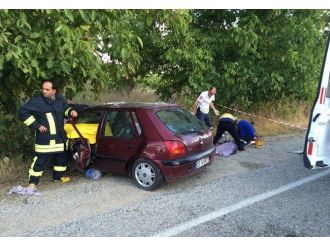 Ağaca çarparak durdu: 3 ölü, 5 yaralı