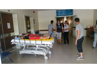 Turistlerin safari macerası kötü bitti: 7 yaralı