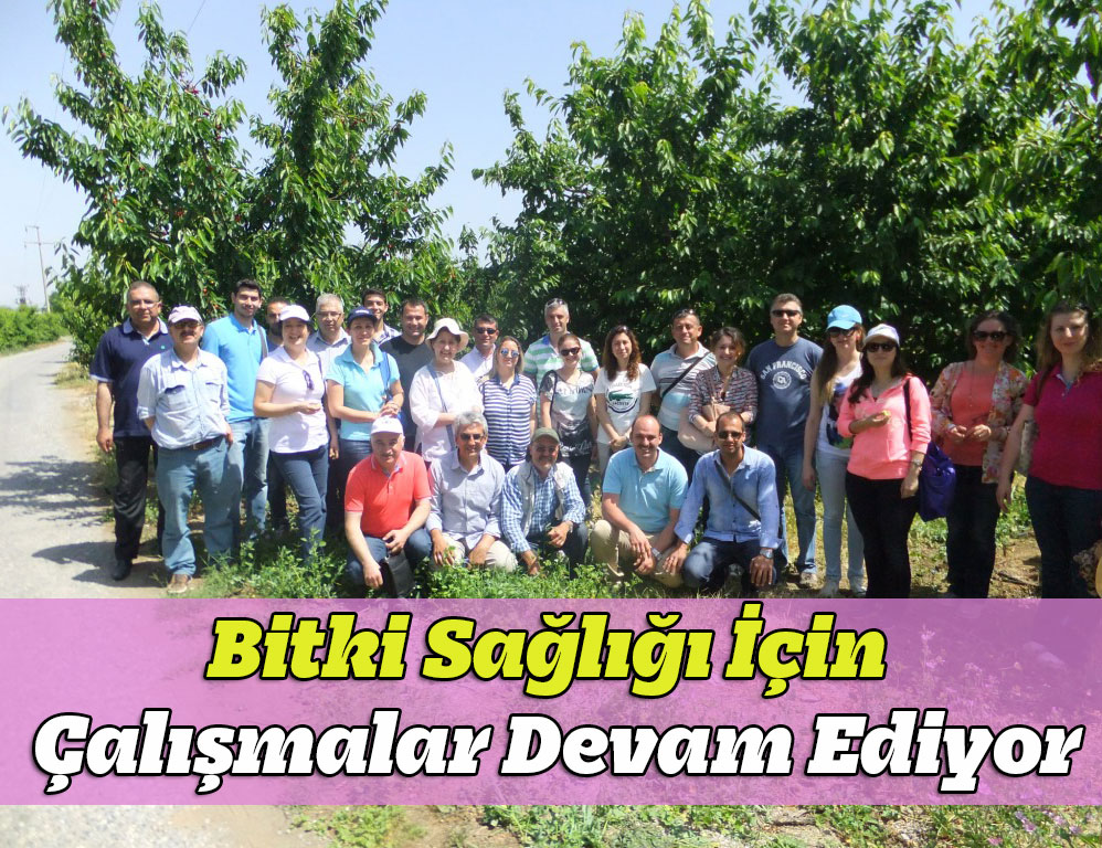 Bitki Sağlığı İçin Çalışmalar Devam Ediyor