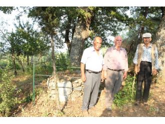 Şehitlerin naaşları sapasağlam !